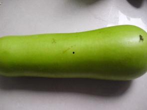 人流吃葫芦瓜好吗,根据人流选择最佳食用时机