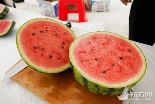 吃瓜上海松江,吃瓜群众的美食之旅