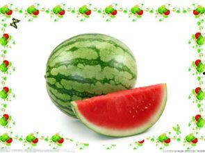 小说里面的吃瓜,揭秘小说中的神秘吃瓜事件