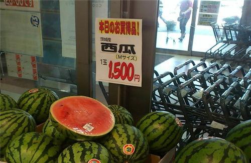 免费吃瓜论坛,揭秘娱乐圈幕后故事，带你畅游八卦海洋