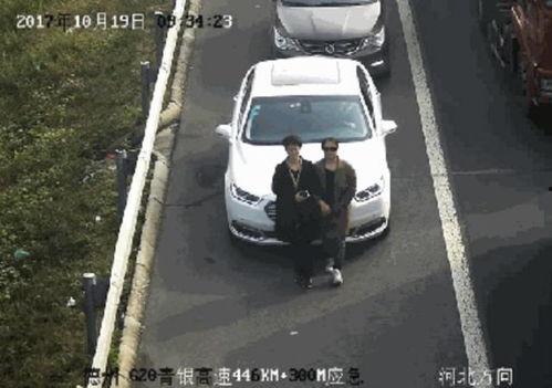 巨人车吃瓜,揭秘汽车界的“网红”现象