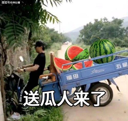 看热闹吃瓜文案