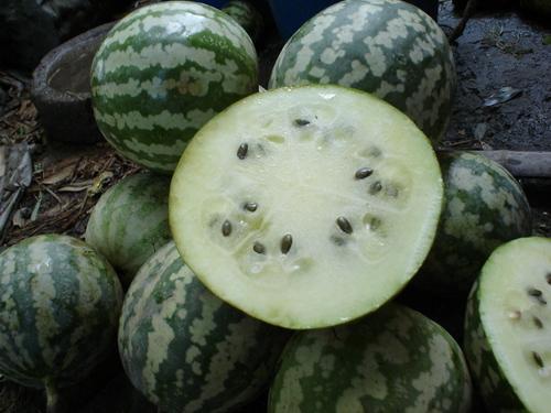 吃绿宝瓜坏了,却隐藏健康隐患，食用需谨慎