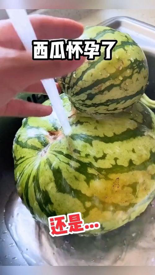 超级好笑吃瓜视频,带你领略欢乐盛宴