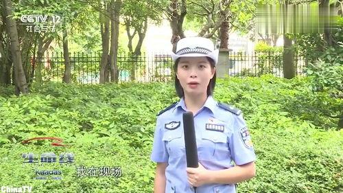 绿化带吃瓜,共享夏日清凉瓜果时光