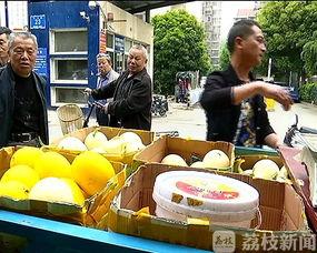 绿化带吃瓜,共享夏日清凉瓜果时光