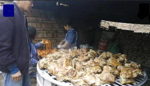 村口大妈吃瓜,揭秘乡村生活百态