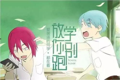 吃瓜学姐听泉,揭秘校园里的那些“瓜”