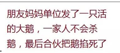 无话可吃的吃瓜群众,揭秘网络时代的沉默围观者