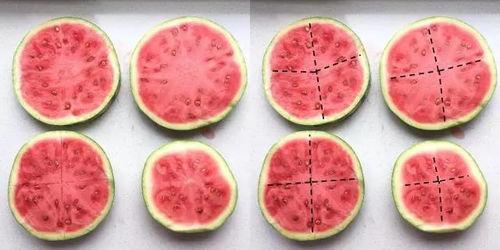 吃瓜特效全部,网络热词背后的文化现象