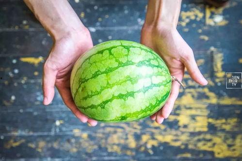 杀雕吃瓜,揭秘古代奇案背后的真相与谜团