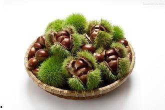 吃板栗瓜的好处,营养丰富的健康美食，吃出健康好生活