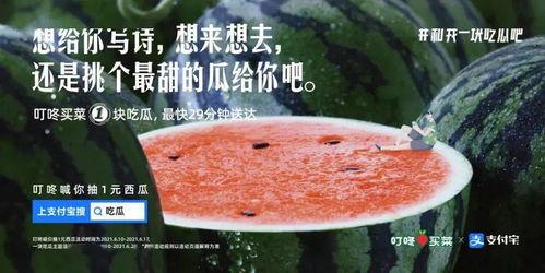 做梦吃瓜文案视频,跟随视频一起品尝瓜果盛宴