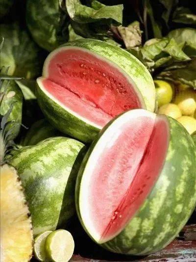 全城最热吃瓜,揭秘最热吃瓜事件背后的真相