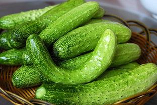 丁丁兽吃瓜,丁丁兽的瓜田奇遇记