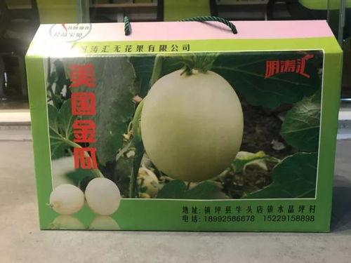 金瓜吃瓜视,揭秘网络红人的崛起之路