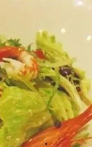 海景吃瓜,揭秘海洋生态的甜蜜秘密