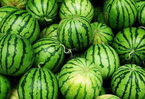 发热可以吃瓜吗,吃瓜真的可行吗？揭秘发热饮食误区