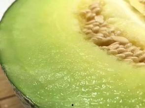 吃哈密瓜饭