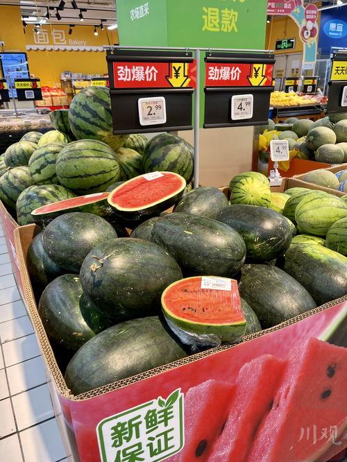 最漂亮的吃瓜视频