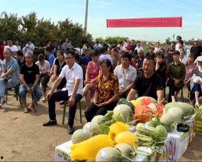 农民工吃瓜,瓜果飘香里的甜蜜时光