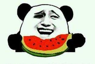 吃货瓜群众,揭秘美食背后的故事与传奇