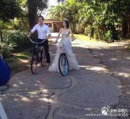 吃瓜群众范某某,揭秘娱乐圈幕后风云