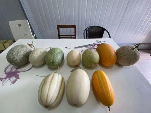 杭州教师吃瓜,一场“吃瓜”背后的校园饮食安全探讨