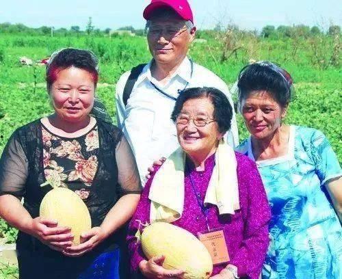 杭州教师吃瓜,一场“吃瓜”背后的校园饮食安全探讨