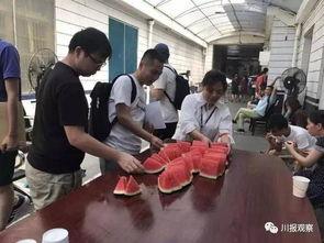 成都大学吃瓜群众