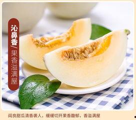 吃黄金蜜瓜图片,甜蜜诱惑，尽收眼底