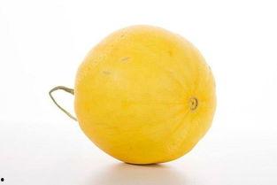 吃黄金蜜瓜图片,甜蜜诱惑，尽收眼底