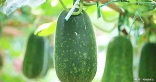 七鹤大人吃瓜,揭秘娱乐圈幕后风云