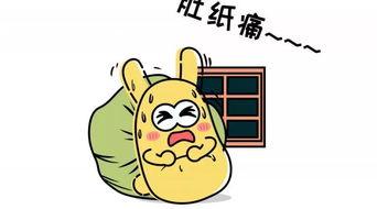 吃瓜群众用品是什么,盘点热门用品清单