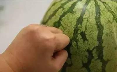 手指吃瓜,揭秘手指吃瓜的独特魅力