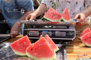 山东各地吃瓜事件