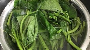 干红瓜叶怎么吃,干红瓜叶的多样食法探索