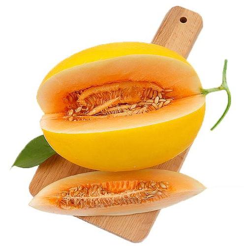 靓仔吃蜜瓜视频,靓仔大快朵颐，甜蜜瞬间尽收眼底