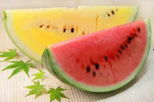 吃瓜没红瓤,探寻瓜果界的独特现象