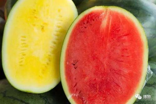 吃瓜没红瓤,探寻瓜果界的独特现象