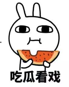 吃瓜断网,揭秘网络时代的“信息隔离”现象