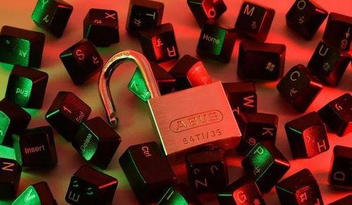 吃瓜断网,揭秘网络时代的“信息隔离”现象