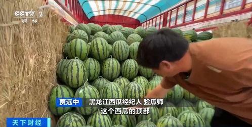 三军吃瓜,揭秘军营里的欢乐时光