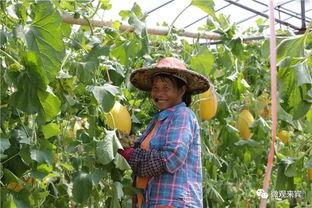 沐桐吃瓜,揭秘娱乐圈幕后故事