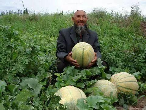 小孩给老人吃瓜,小孩给老人送瓜，温馨瞬间感动人心