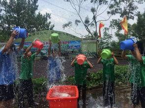 吃瓜群众-桌面主题,揭秘桌面主题背后的趣味与潮流